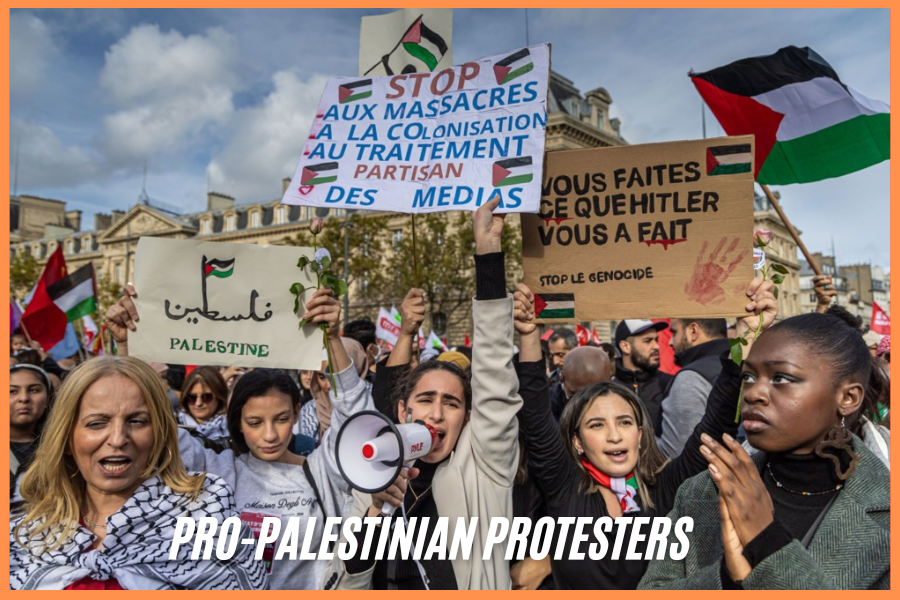 pro-palestinian protesters