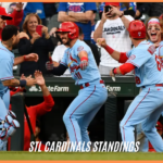 stl cardinals standings